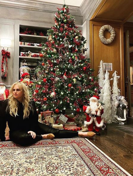rebel wilson dimagrita