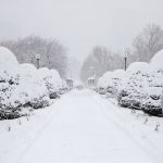 Forte tempesta di neve negli USA: a New York più neve che in tutto lo scorso inverno, due morti in Pennsylvania [FOTO]
