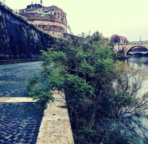 tevere roma oggi