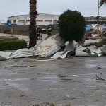 Maltempo Puglia, tornado nel Salento: danni ad aziende e case e alberi abbattuti, fulmine uccide mucche al pascolo [FOTO e VIDEO]