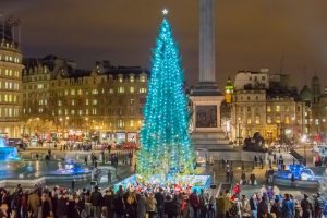 trafalgar-square-tree-