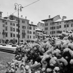 Maltempo, tante neve oggi in Friuli: Udine ricoperta dal manto bianco, fiocchi anche nel Goriziano e nel Pordenonese [FOTO]