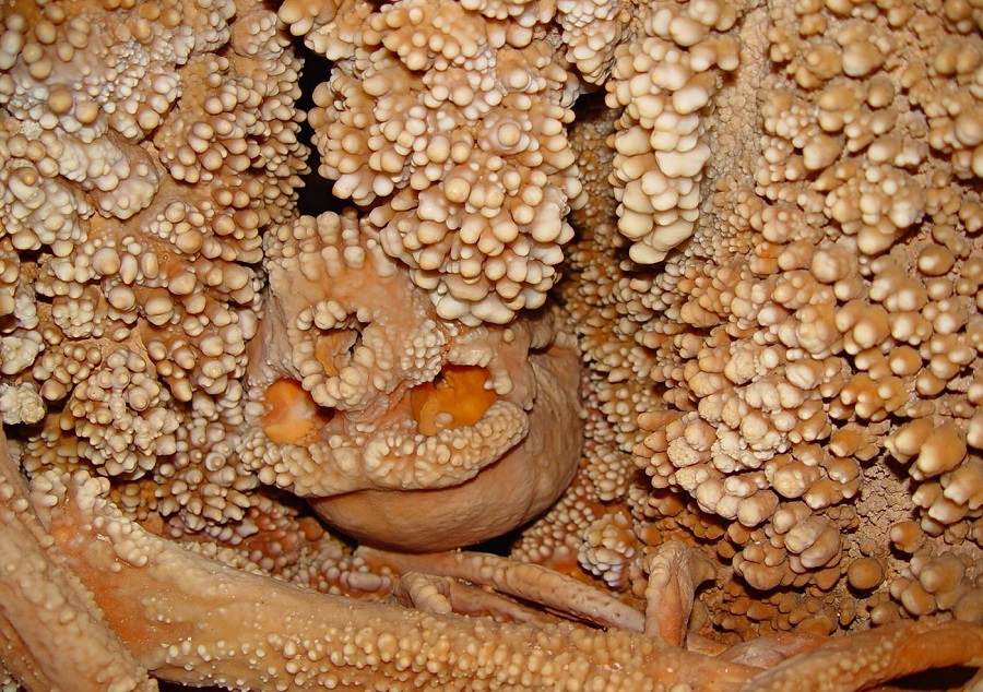 uomo altamura