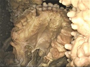 uomo altamura 