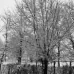 Maltempo, anche il Veneto si sveglia sotto la neve: fiocchi anche a Venezia, -41,8°C sull’Altopiano di Asiago [FOTO]