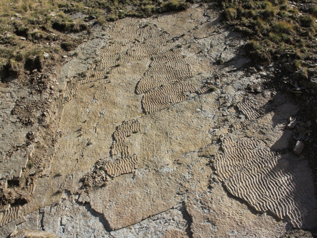 roccia