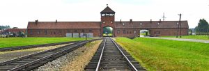 binari birkenau