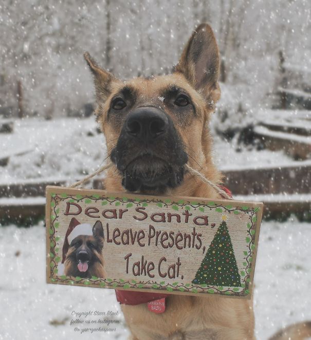 cartoline natale divertenti
