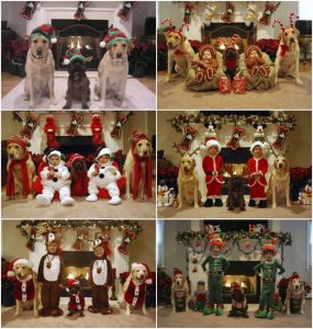 cartoline natale divertenti
