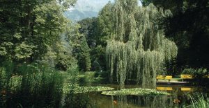 hofgarten innsbruck