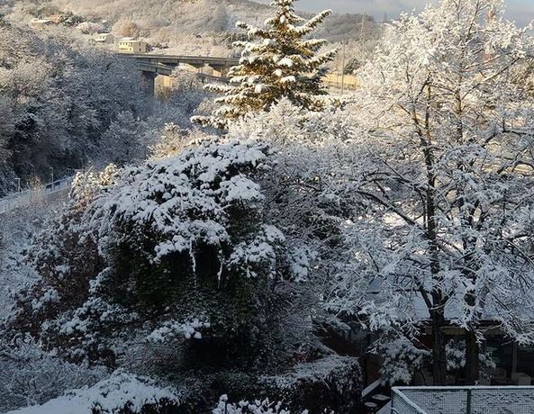 isernia