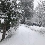 Maltempo, l’irruzione fredda flagella il Sud: bufere di neve in Calabria, imbiancata Cosenza [FOTO e VIDEO]