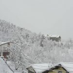 Maltempo Piemonte, tanta neve, fino in pianura: imbiancate Cuneo, Langhe, Roero e la collina torinese [FOTO e VIDEO]