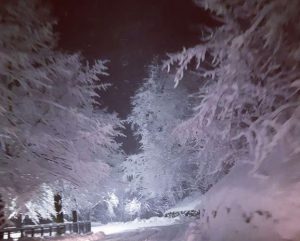 neve pistoia