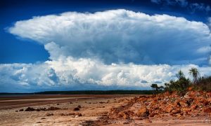 tempesta hector australia