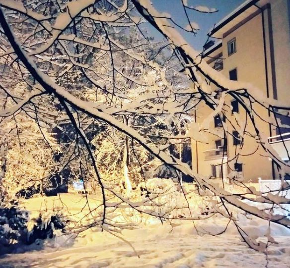 Trento
