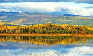 yukon