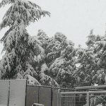 Maltempo, nevica in Puglia: scenari mozzafiato dai Monti Dauni al Gargano, da Monteleone a Monte Sant’Angelo [FOTO]