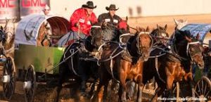 West il Calgary Stampede