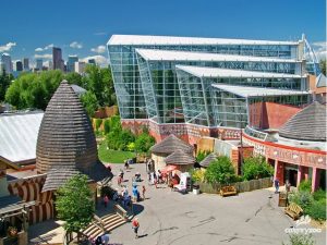 calgary-zoo
