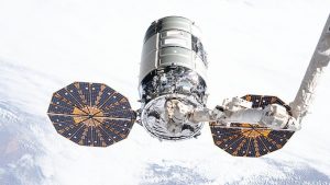 cygnus
