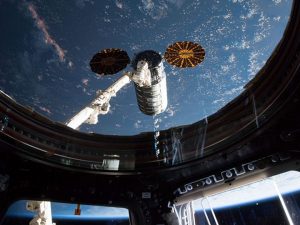 cygnus