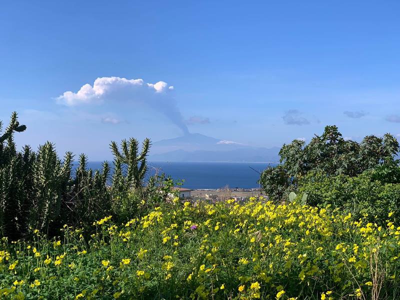 eruzione etna oggi 19 febbraio 2021