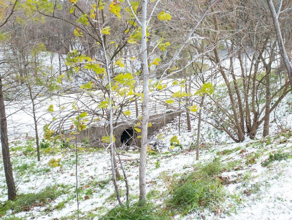freddo neve gelo texas