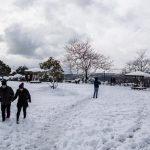 Maltempo in Turchia: ancora tanta neve a Istanbul, le scuole restano chiuse [FOTO]