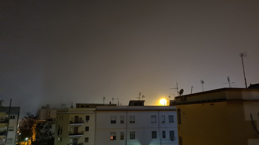 lupa Reggio Calabria