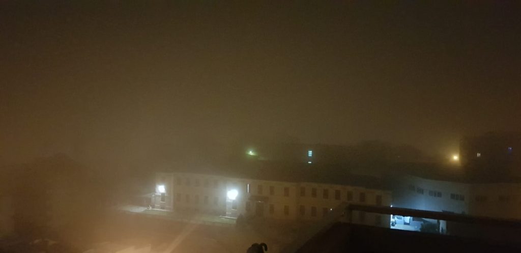 lupa reggio calabria 6 7 febbraio 2021