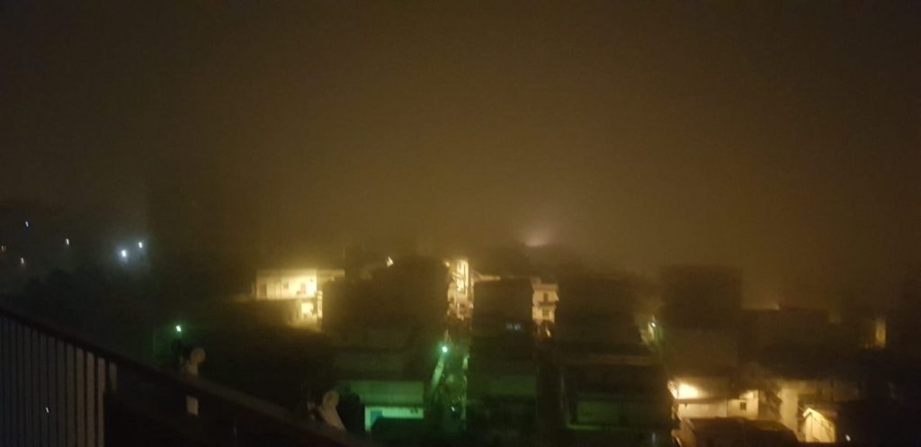lupa reggio calabria 6 7 febbraio 2021