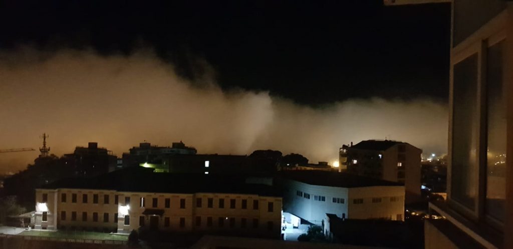 lupa reggio calabria 6 7 febbraio 2021