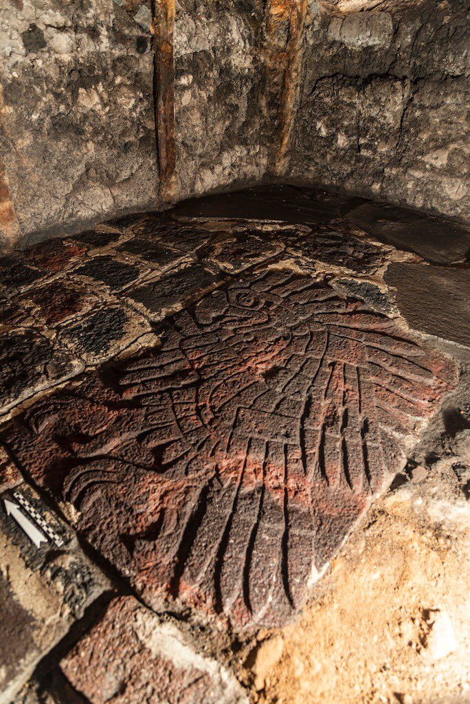messico aquila reale