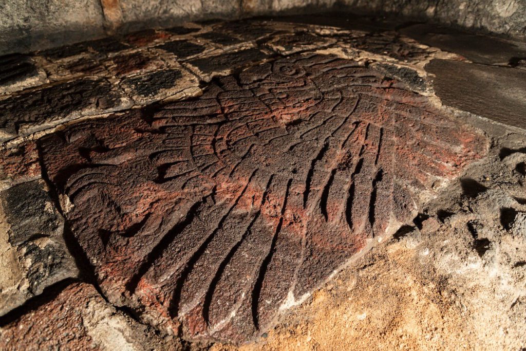messico aquila reale
