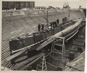nautilus