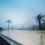 Meteo, risveglio suggestivo a Cagliari: una fitta coltre di nebbia avvolge la città [FOTO]
