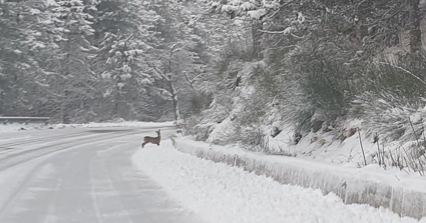 neve abruzzo l'aquila