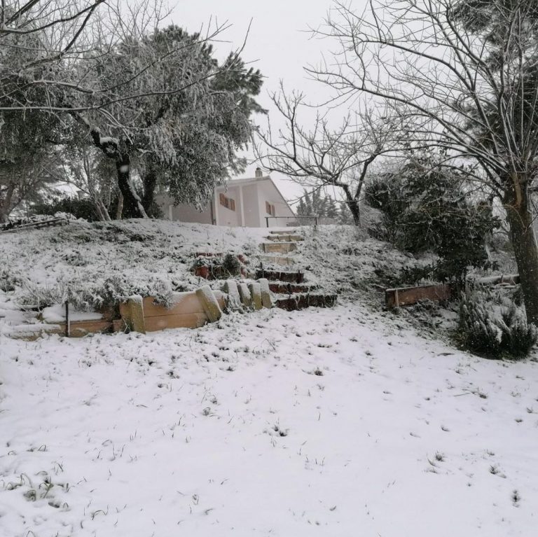 Marche, neve nell'Anconetano