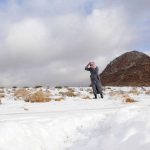 Meteo, eccezionale nevicata in Arabia Saudita: dromedari ricoperti di soffici fiocchi di neve, incredibile effetto “dessert” nel deserto [FOTO e VIDEO]