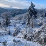 Maltempo Toscana, temperature polari, neve e ghiaccio: fino a -12°C al Passo delle Radici, imbiancate anche le colline di Firenze [FOTO]