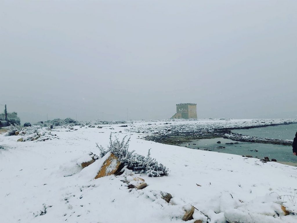 neve oggi porto cesareo