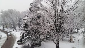 neve trentino