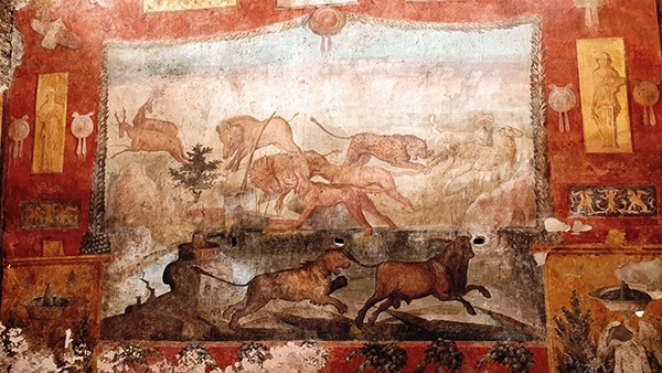 pompei casa dei ceii