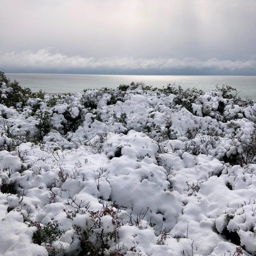 porto cesareo neve 14 febbraio 2021 (17)