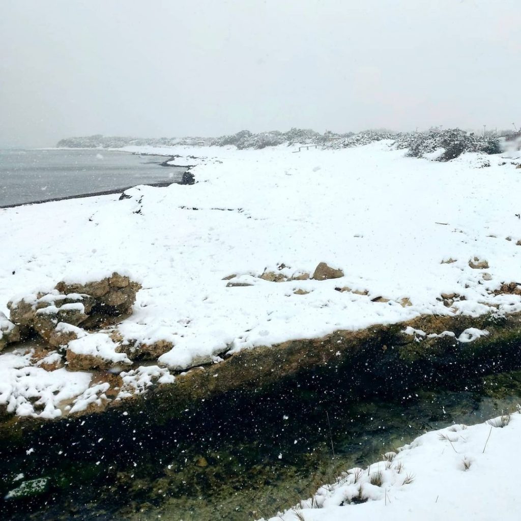 porto cesareo neve 14 febbraio 2021 (17)