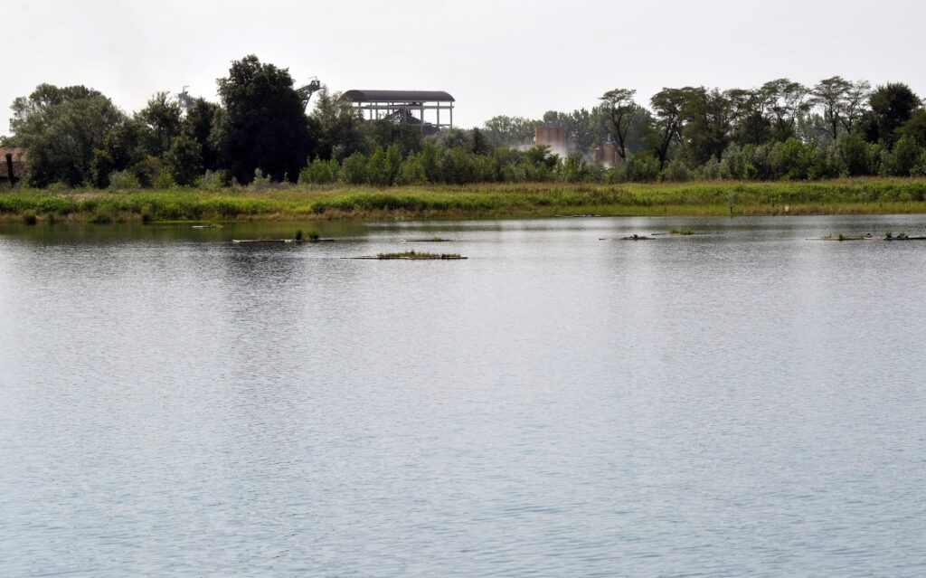 Oasi dell’Avifauna realizzata a Pozzuolo Martesana