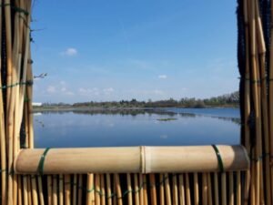 Oasi dell’Avifauna realizzata a Pozzuolo Martesana