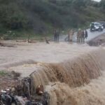 Maltempo, piogge torrenziali in Algeria: case allagate e auto trascinate via dall’acqua, almeno 7 morti nelle inondazioni [FOTO e VIDEO]