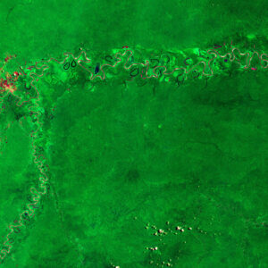 amazzonia
